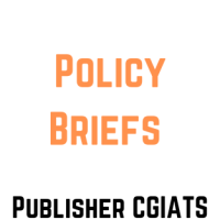 policy briefs